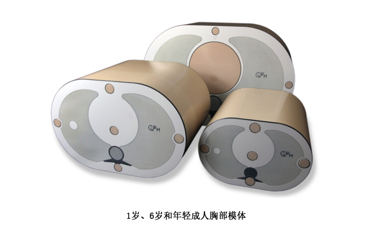 德國QRM 兒童胸部腹部模體