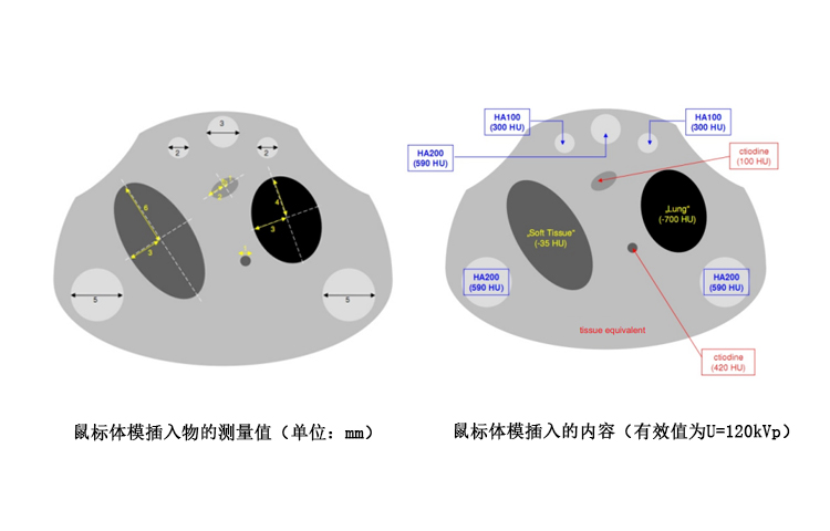 德國QRM Micro-CT小鼠模體